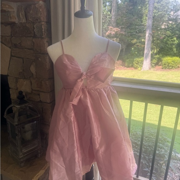 NWT Francesca's Collections Stella Tie Blush Pink Mini Dress XS - Picture 6 of 7